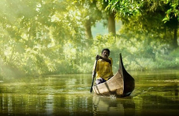 Alleppey Backwaters